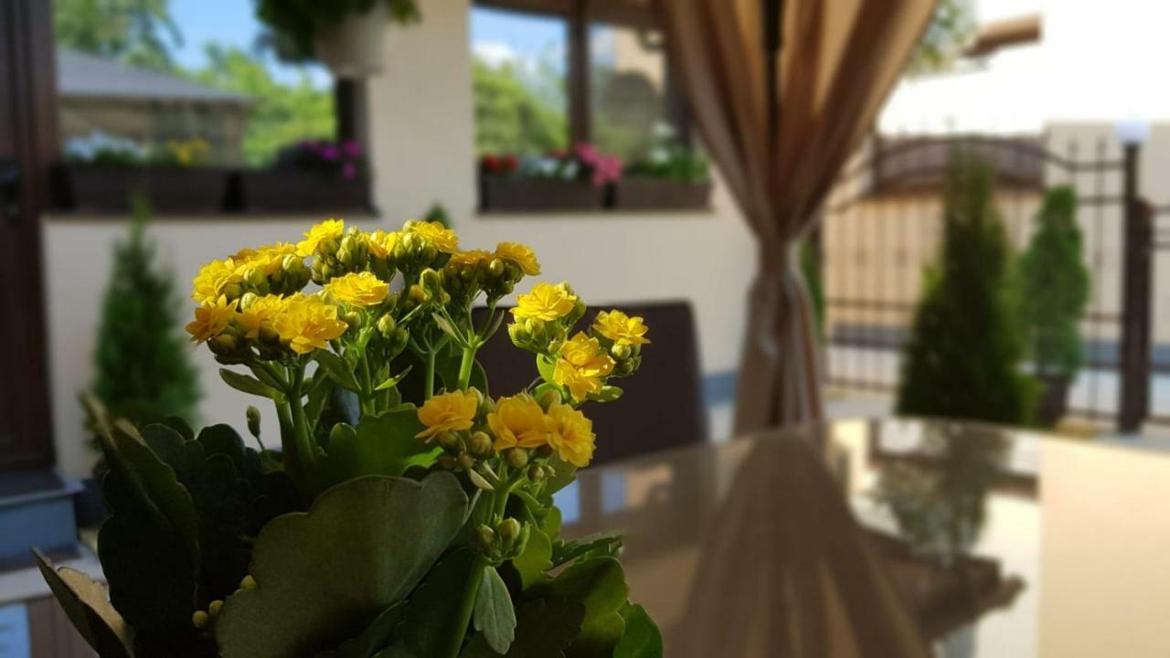 Smart Home Lux Iasi Bagian luar foto